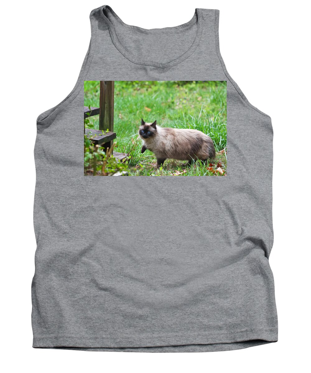 Seal Point Tank Top featuring the photograph Cat Walking by Melinda Fawver