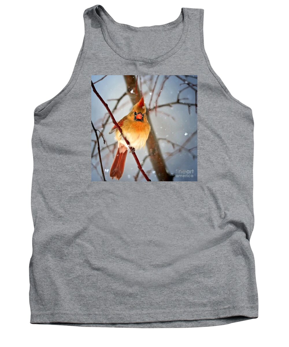 Northern Cardinal Tank Top featuring the photograph Northern Cardinal Snow Scene by Nava Thompson