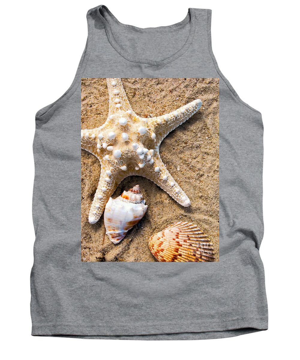 Seashells Tank Top featuring the photograph Collecting Shells by Colleen Kammerer