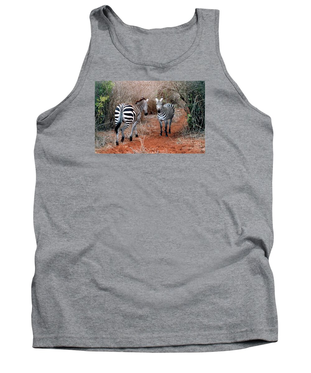 2 Zebras Tank Top featuring the pyrography Coming And Going by Phyllis Kaltenbach