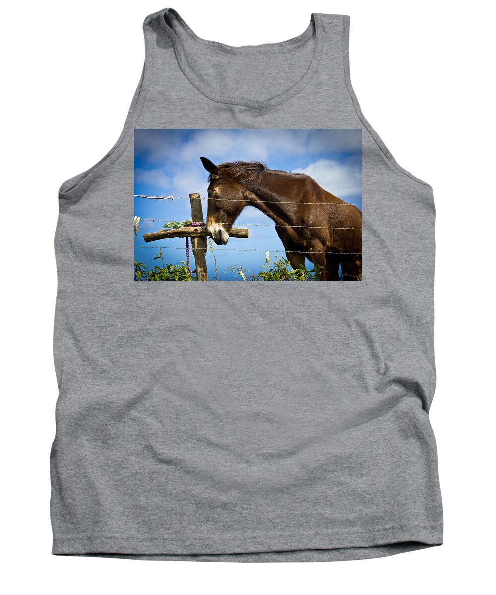 Horse Tank Top featuring the photograph Contemplation by Christie Kowalski