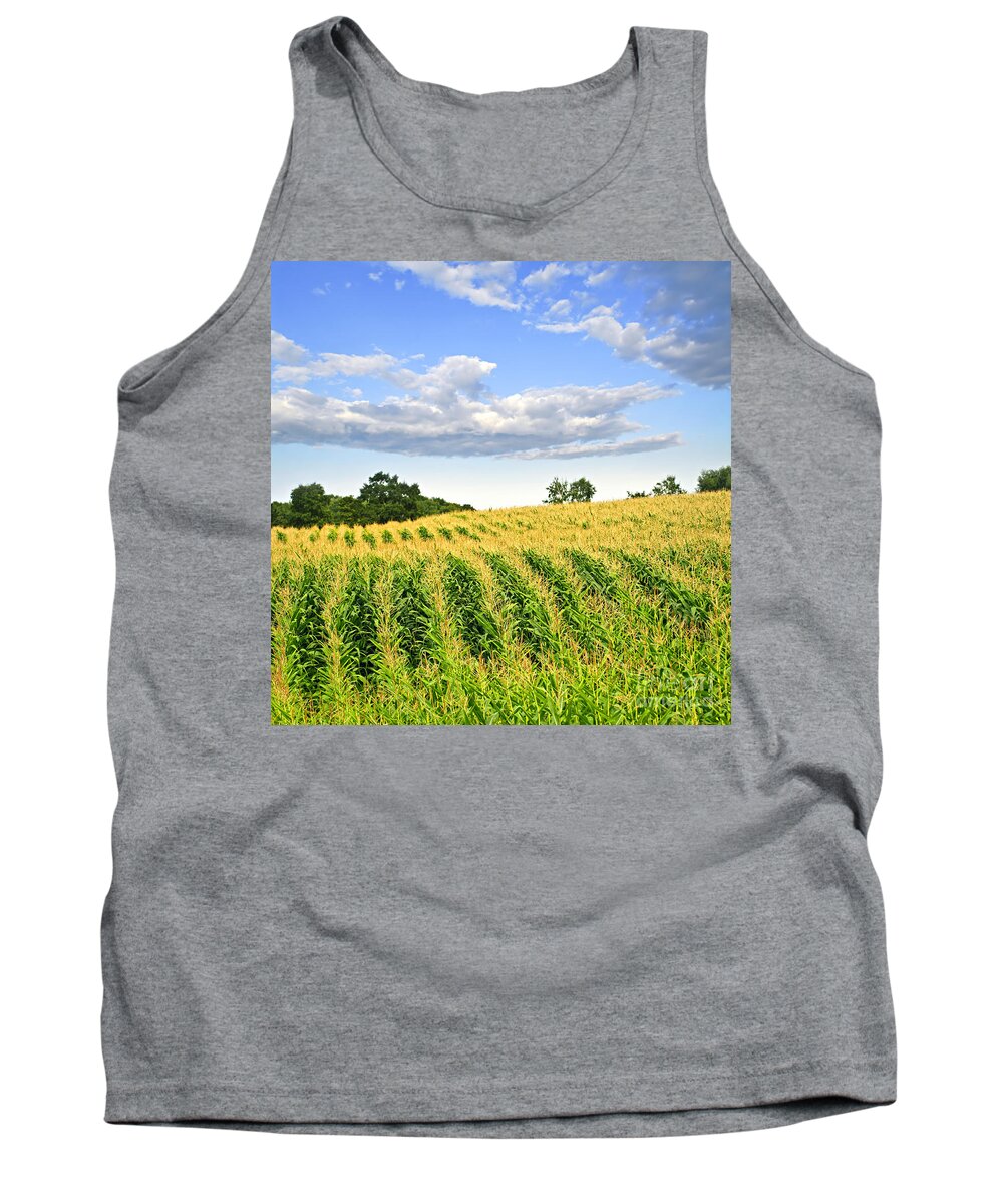 Agriculture Tank Top featuring the photograph Corn field 1 by Elena Elisseeva
