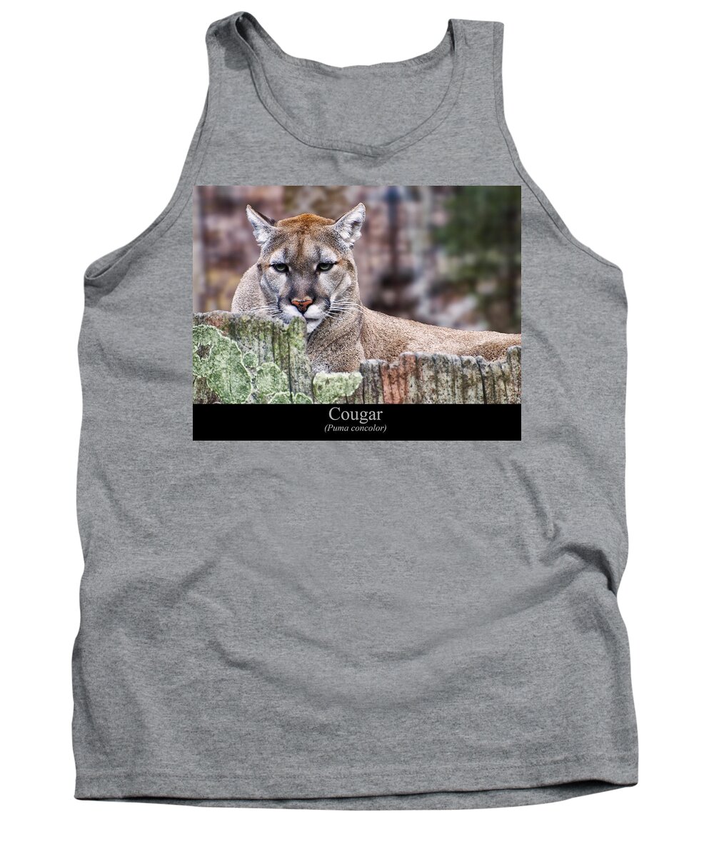 Class Room Posters Tank Top featuring the digital art Cougar resting on a tree stump by Flees Photos