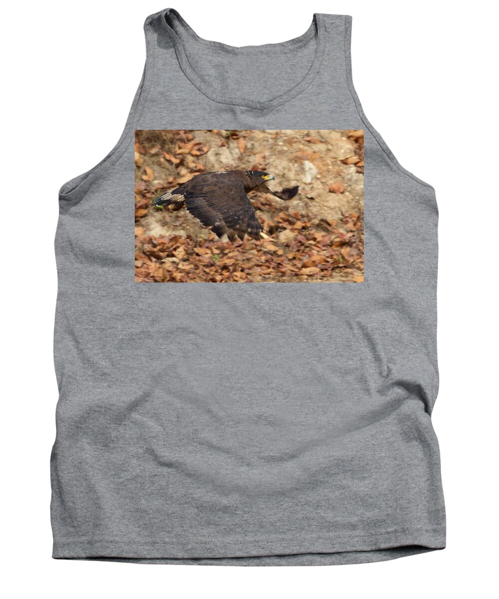 India Tank Top featuring the photograph Crested Serpent Eagle by David Beebe