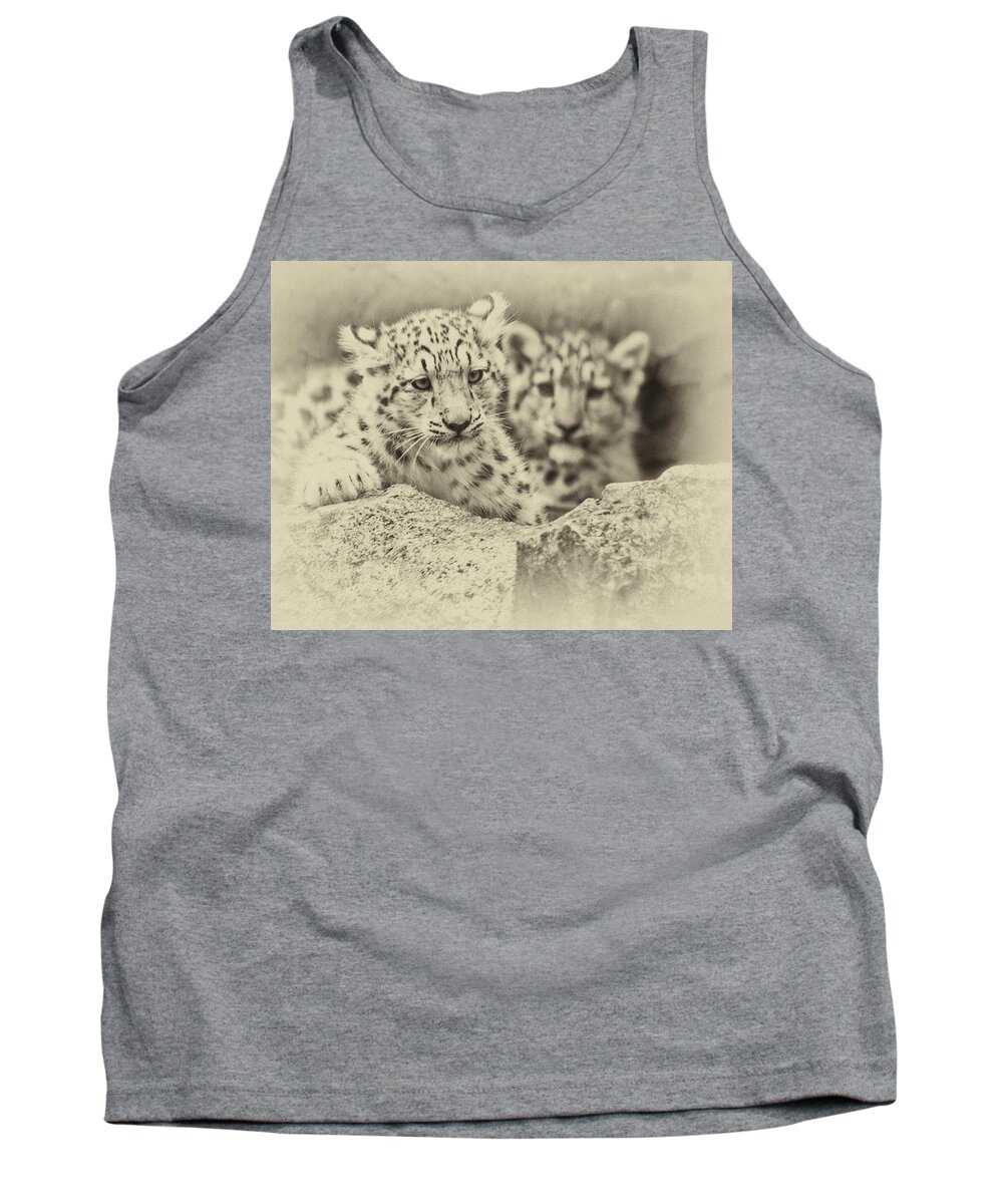 Marwell Tank Top featuring the photograph Cubs at Play by Chris Boulton