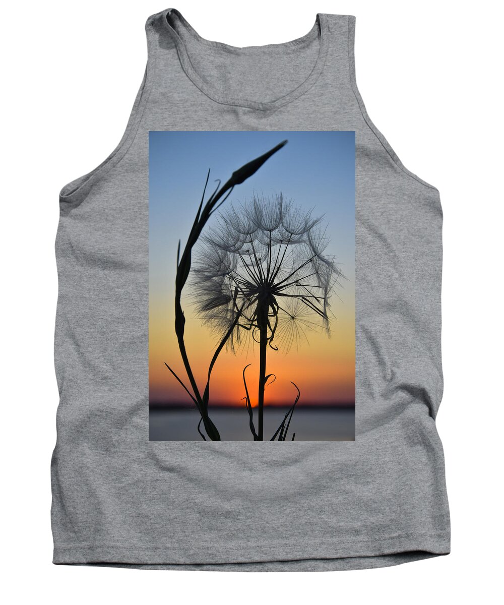 Dandy Lion Tank Top featuring the photograph Dandy Lion by Skip Hunt