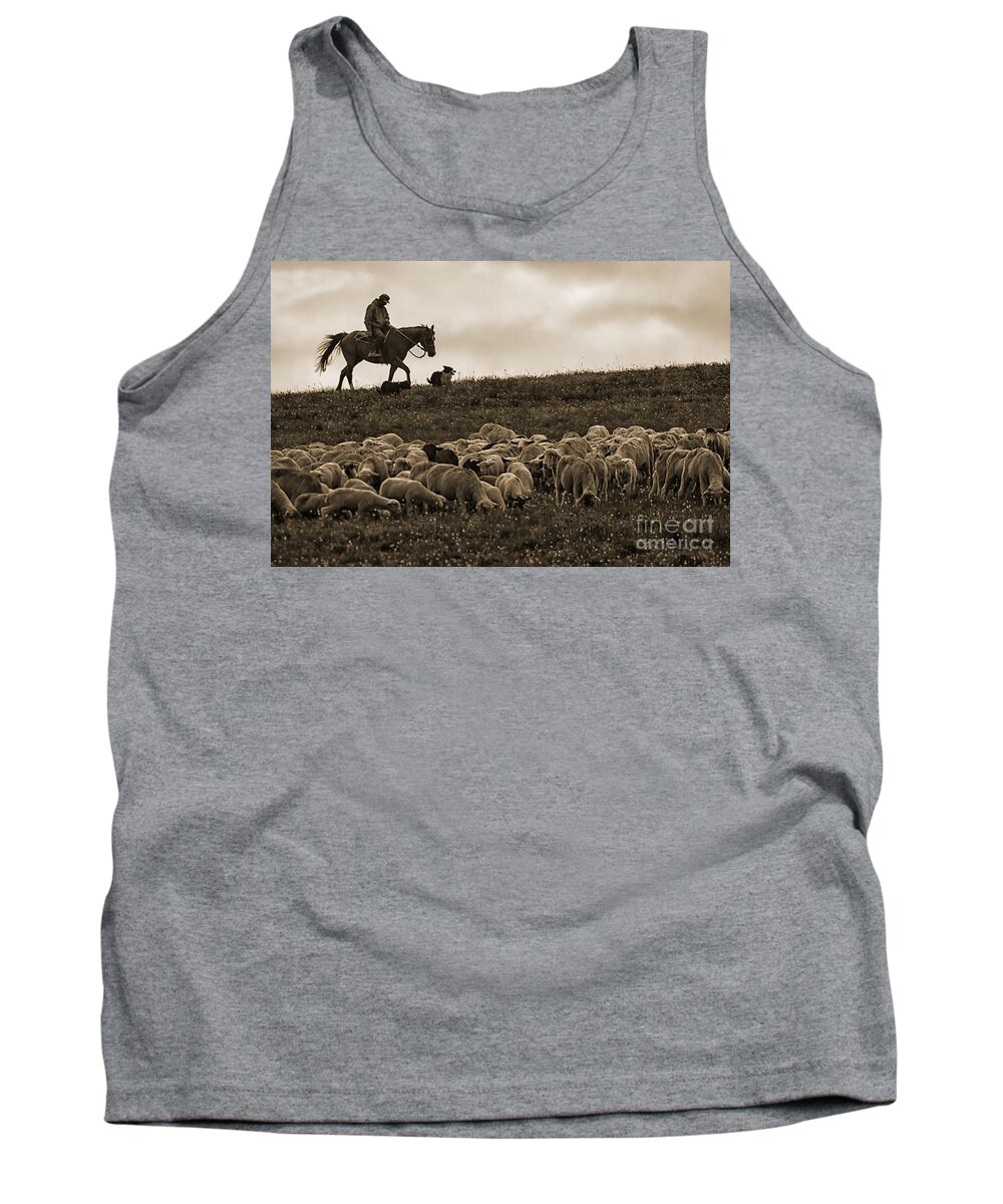 Sheep Tank Top featuring the photograph Days End Sheep Herding by Priscilla Burgers
