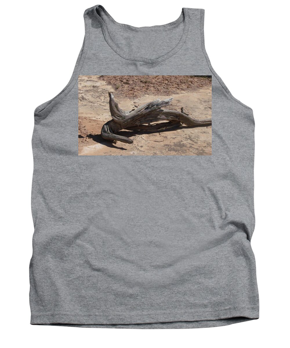 Landscape Tank Top featuring the photograph Desert Wildwood by Fortunate Findings Shirley Dickerson