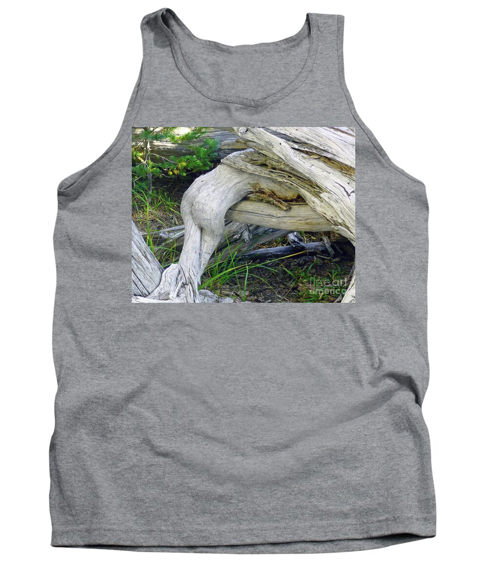 Abstract Tank Top featuring the photograph Devoured by Lauren Leigh Hunter Fine Art Photography