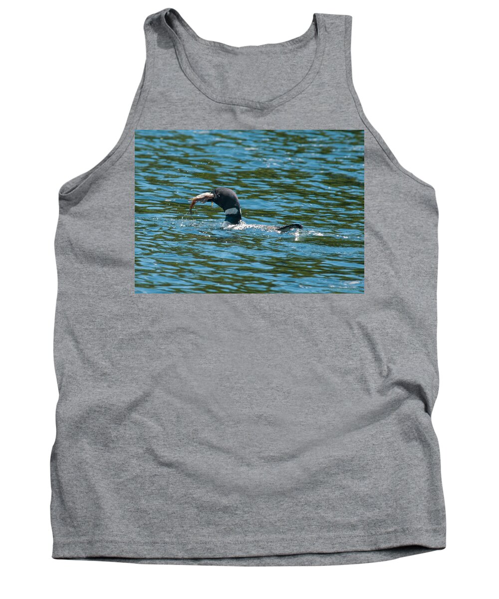 Birds Tank Top featuring the photograph Dinner Time by Brenda Jacobs