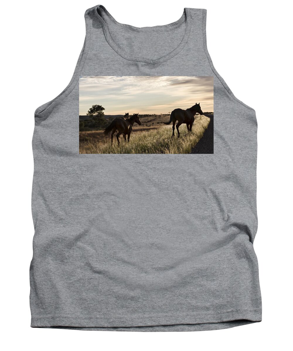 Brumbies Tank Top featuring the photograph Early Morning Gallop by Douglas Barnard