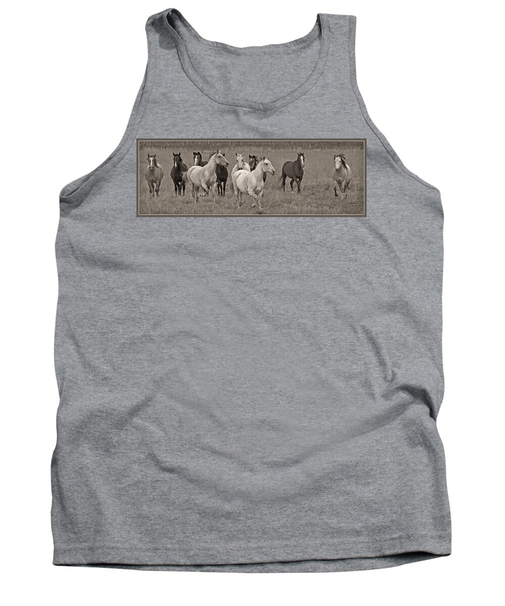 Escapees From A Lineup Tank Top featuring the photograph Escapees From A Lineup by Wes and Dotty Weber