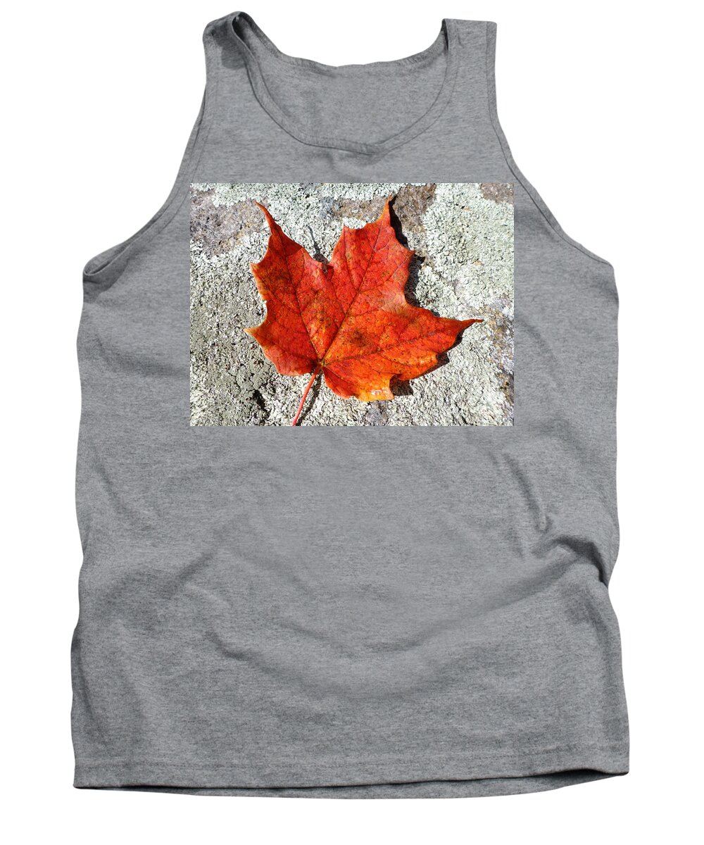 Fall Tank Top featuring the photograph Fall by Cristina Stefan