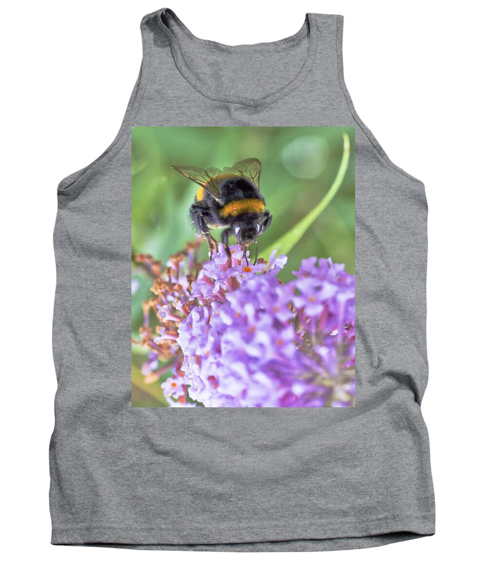 Honey Bee Tank Top featuring the photograph Feeding and Pollinating Bee by Maj Seda