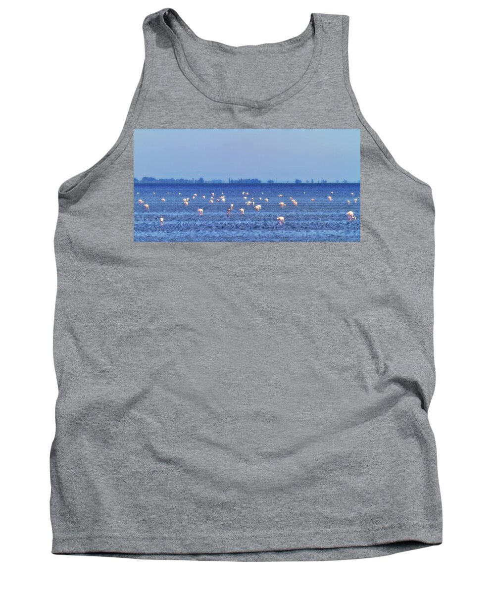 Animal Tank Top featuring the photograph Flamingos in the pond by Roberto Pagani