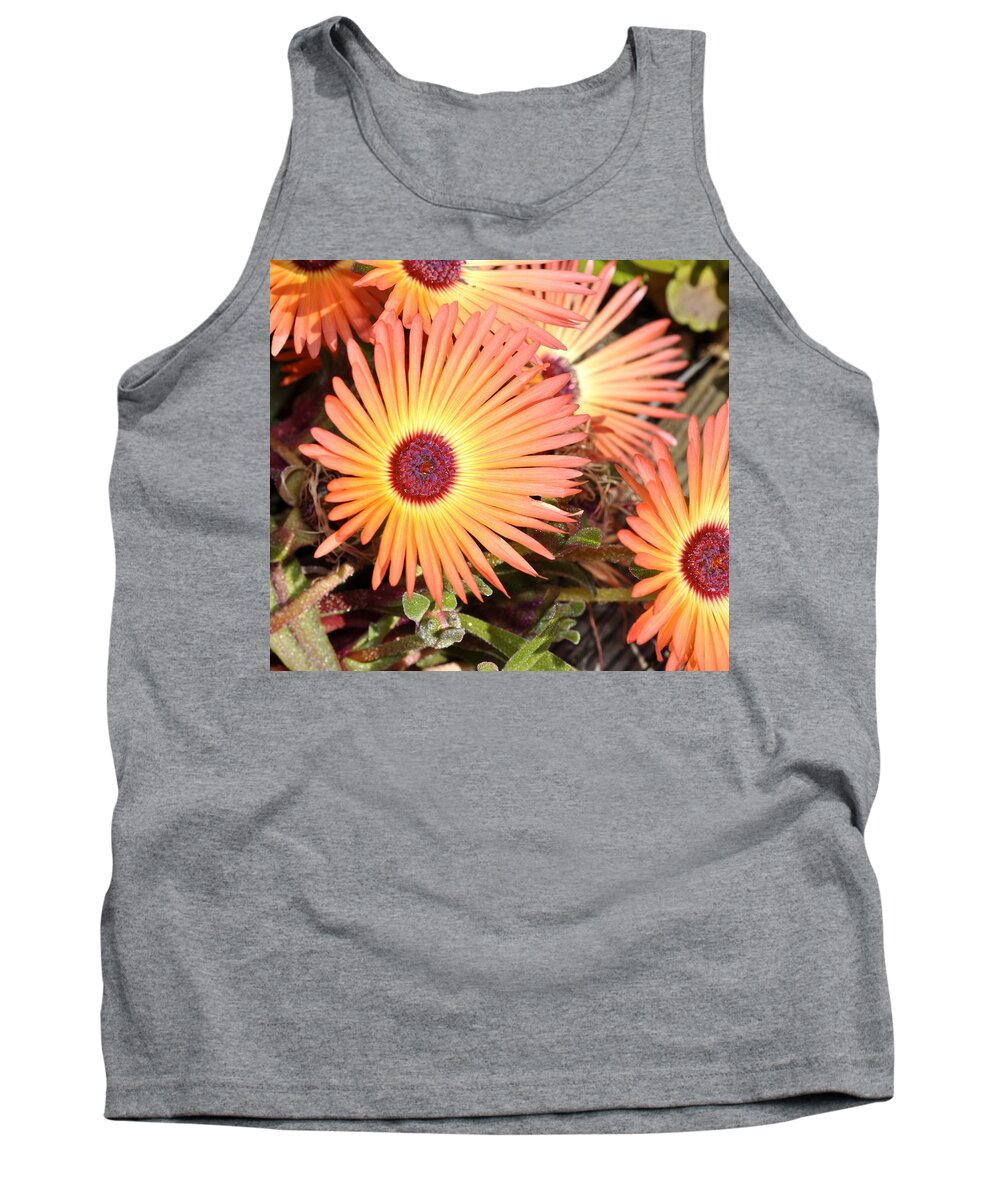 Flowers Tank Top featuring the photograph Floral by Cathy Mahnke