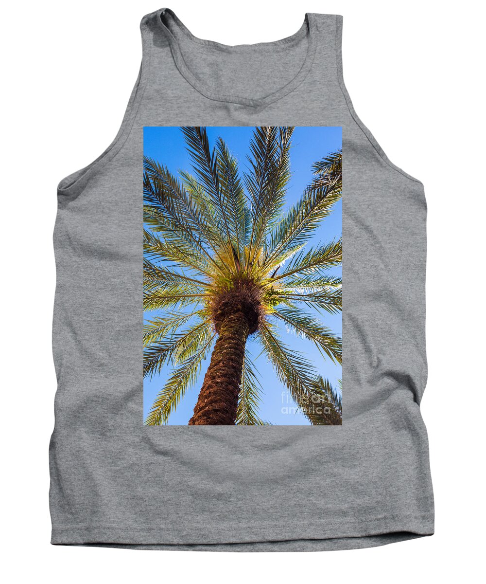 Growth Tank Top featuring the photograph Florida Palm Tree by Diane Macdonald