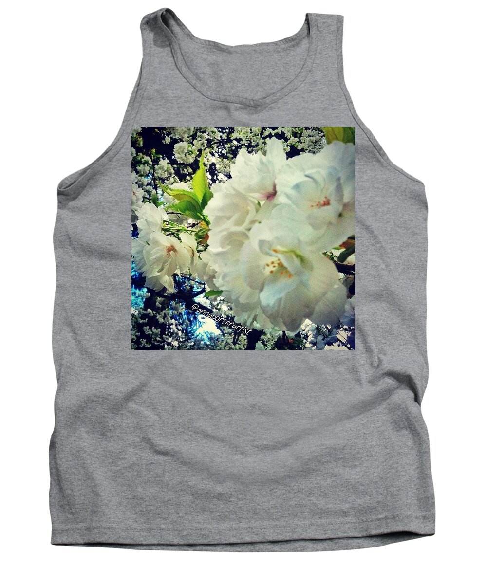 Flowers Tank Top featuring the photograph Flowering White Dogwood by Anna Porter