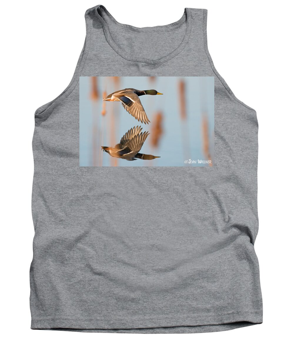 Birds Tank Top featuring the photograph Skimming the Pond through Cattails by Joan Wallner