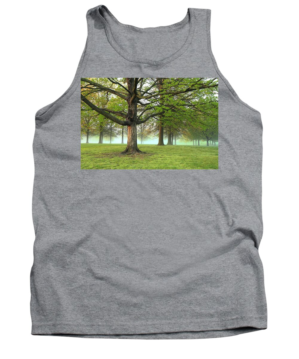 Francis Park Tank Top featuring the photograph Foggy Francis Park by Scott Rackers