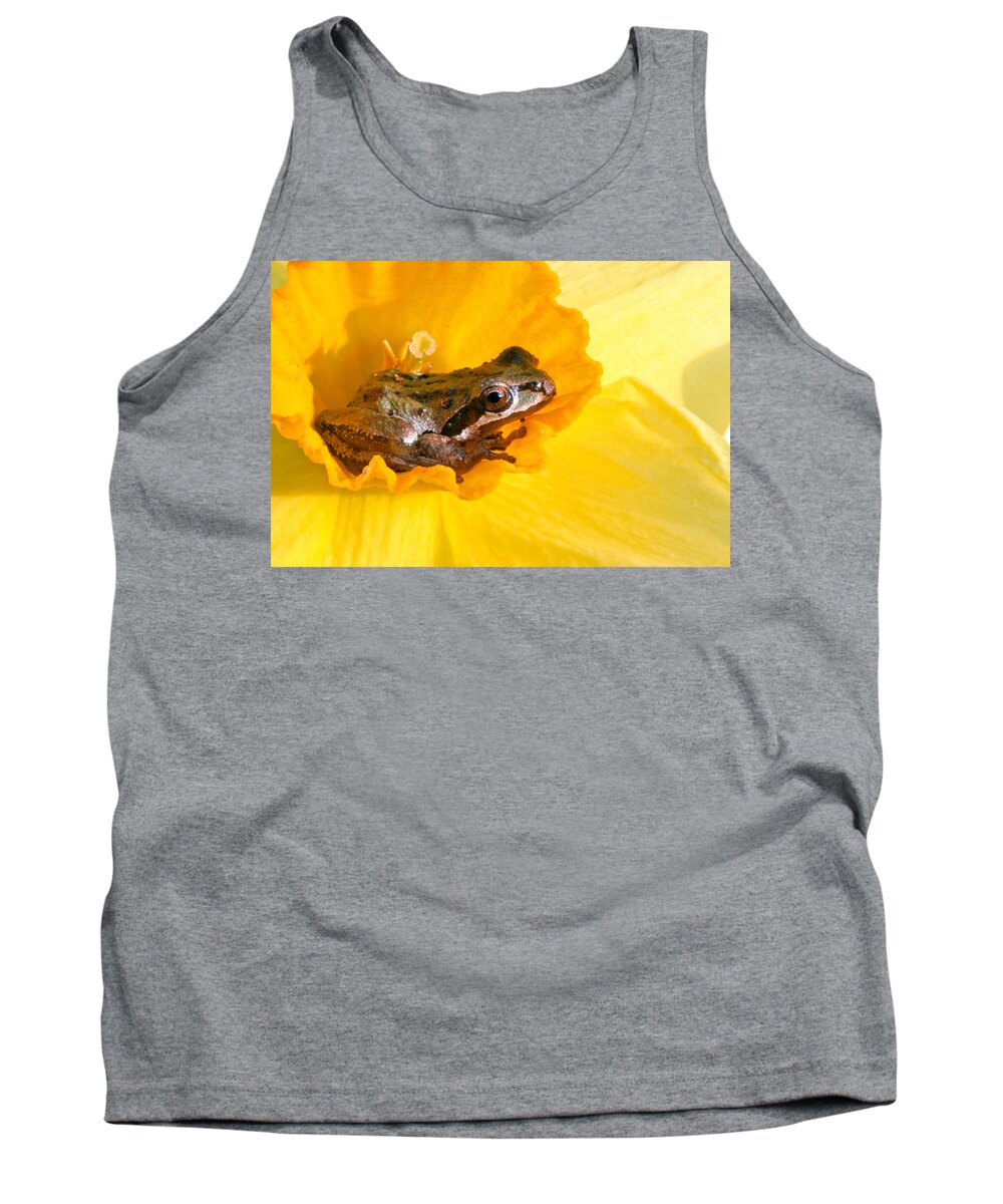 Frog In Daffodil Tank Top featuring the photograph Frog and daffodil by Jean Noren