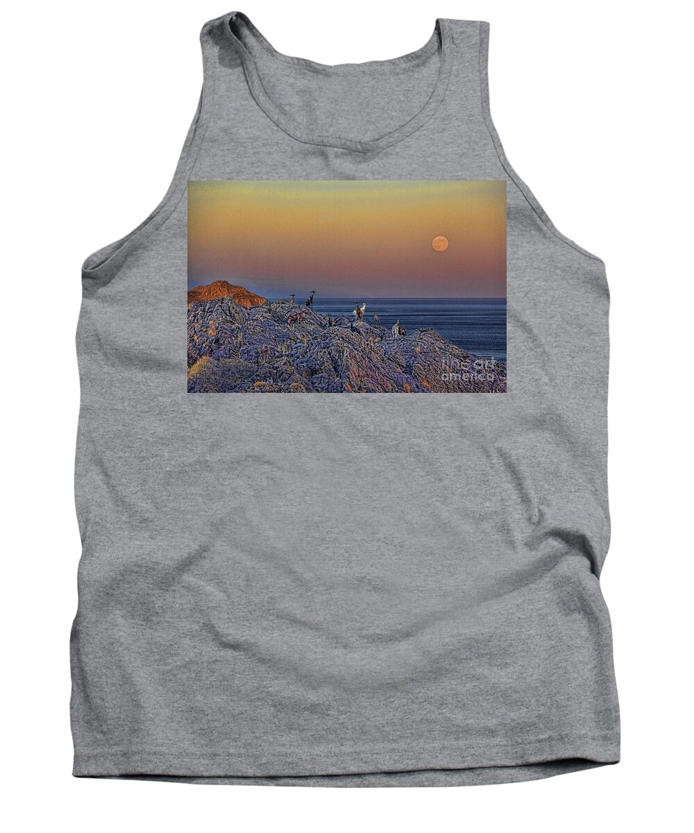 Crete Tank Top featuring the photograph Full moon gathering of Capricorn by Casper Cammeraat