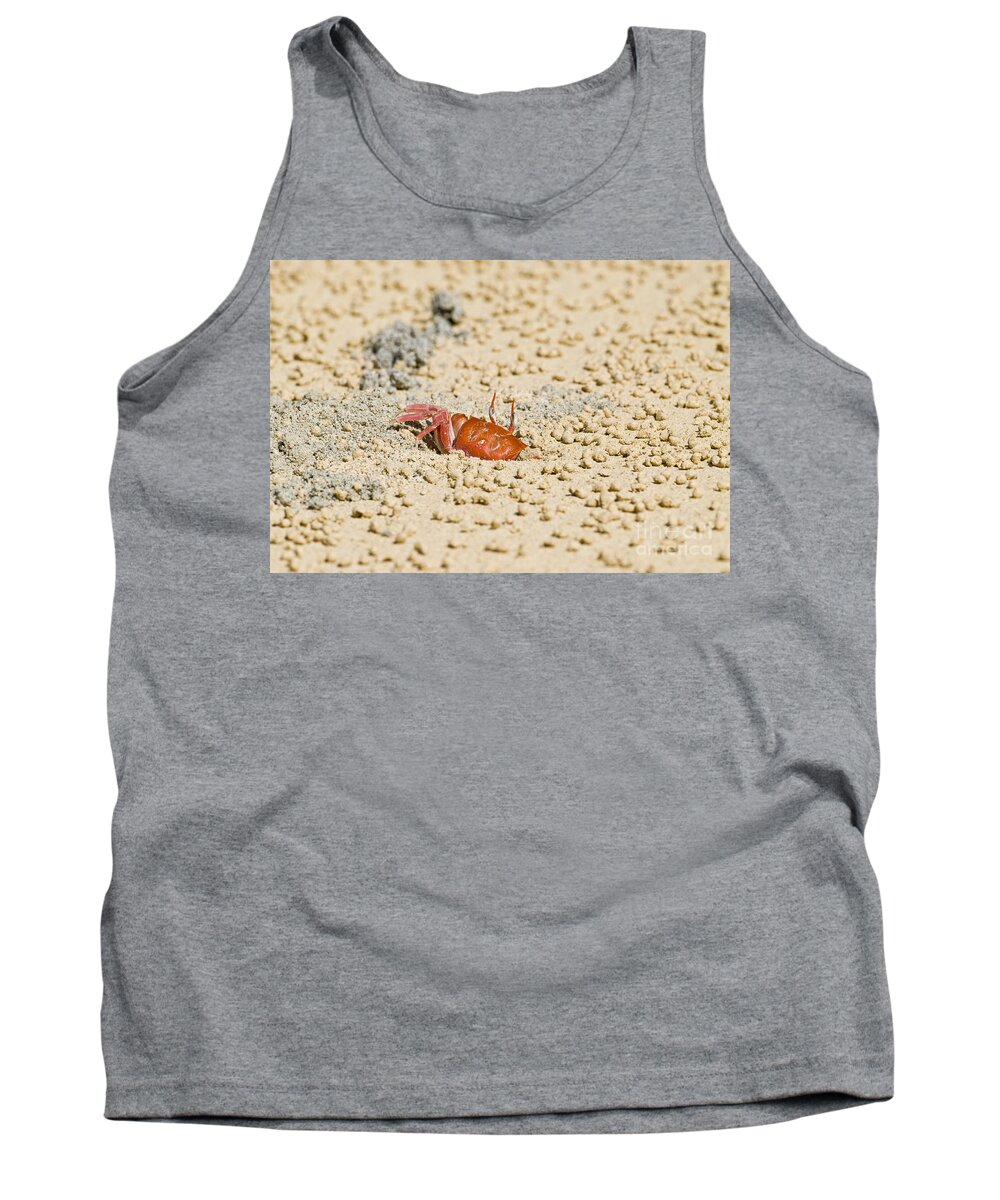 Ghost Crab Tank Top featuring the photograph Galapagos Ghost Crab by William H. Mullins