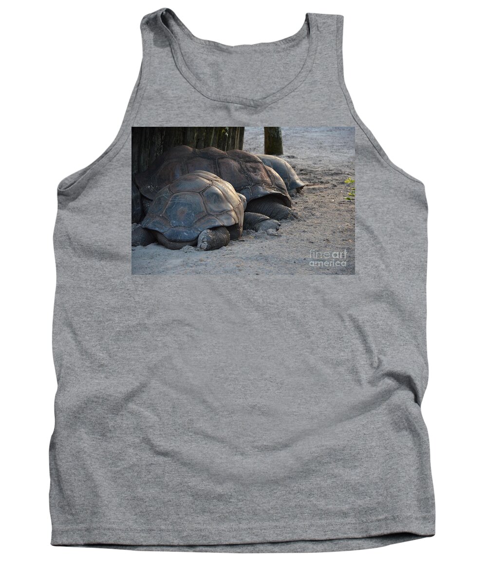 Aldabra Tortise Tank Top featuring the photograph Giant Tortise by Robert Meanor