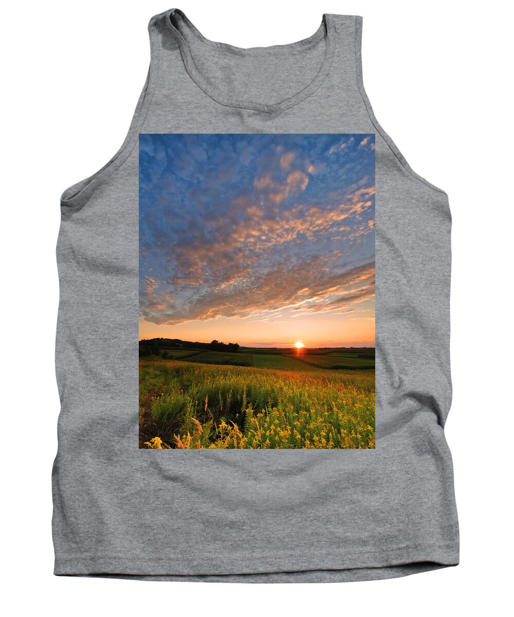 Landscape Tank Top featuring the photograph Golden fields by Davorin Mance