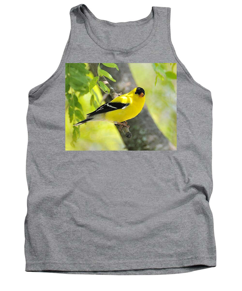 Goldfinch Tank Top featuring the photograph Goldfinch 299 by Gene Tatroe