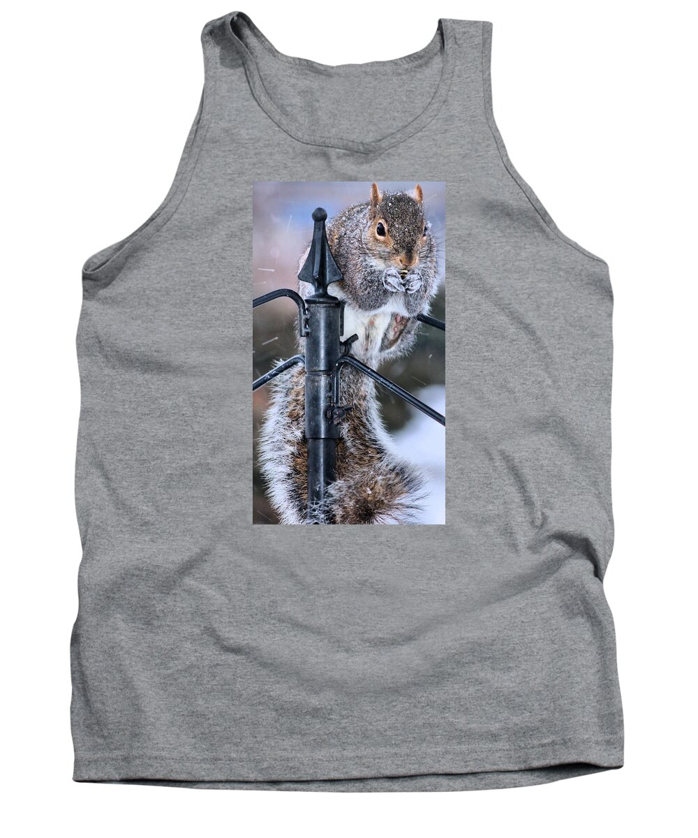 Squirrel Tank Top featuring the photograph Got to love Them by Carol Montoya