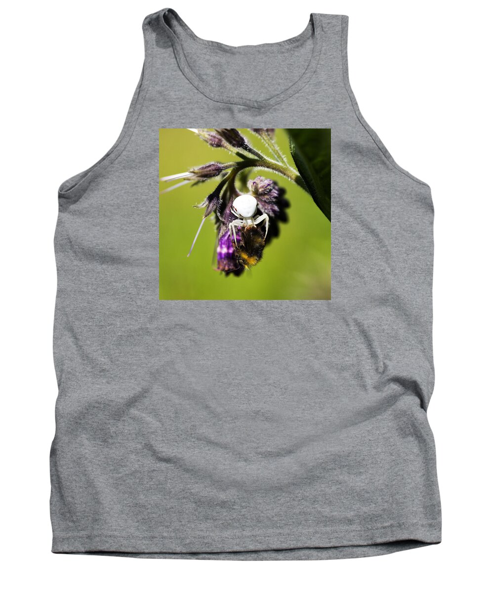 Insects Image Print Tank Top featuring the photograph Gotcha by David Davies