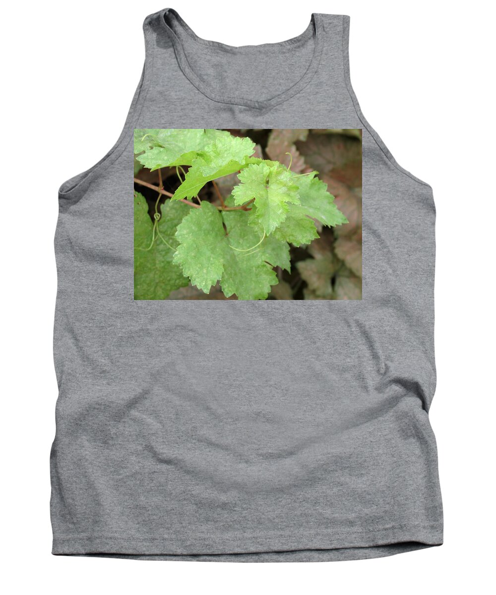 Grapevine Tank Top featuring the photograph Grapevine by Laurel Powell
