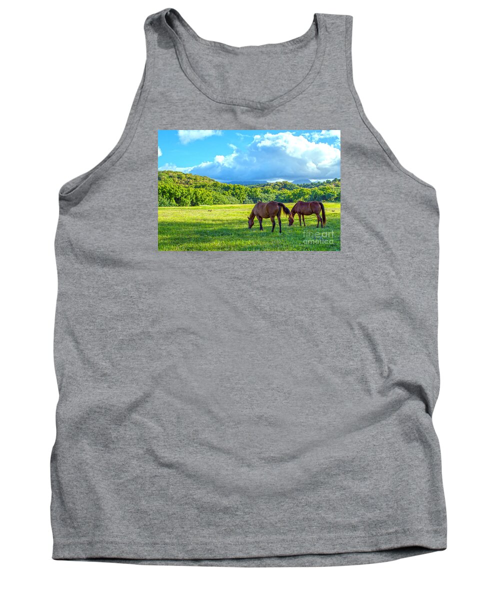 Horses Tank Top featuring the photograph Grazing In Paradise by Roselynne Broussard