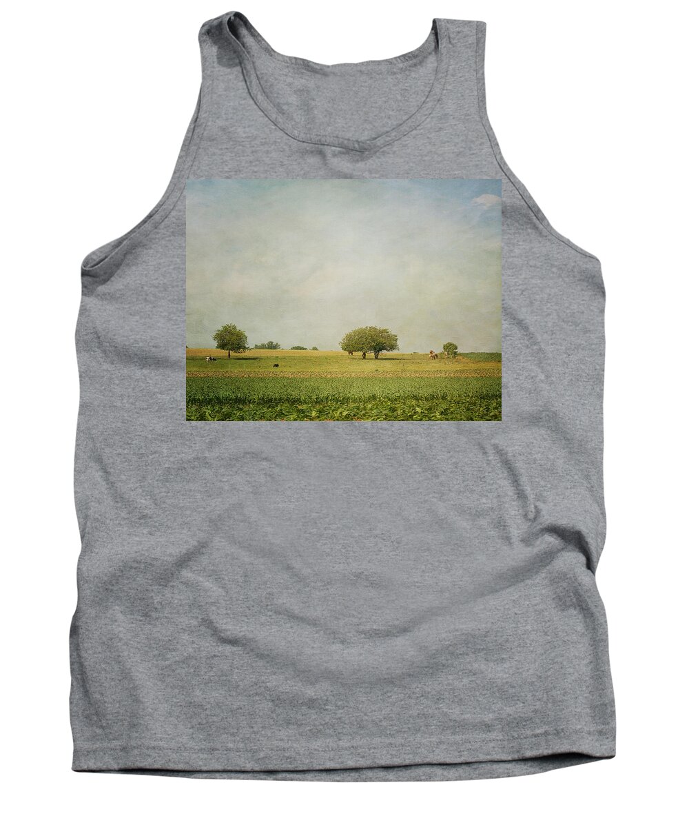  Cow Tank Top featuring the photograph Grazing by Kim Hojnacki
