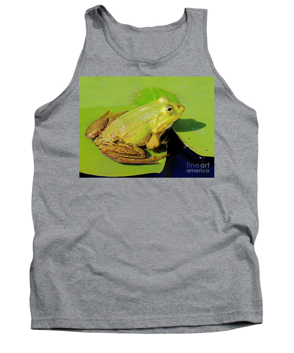 Frogs Tank Top featuring the photograph Green Frog 2 by Amanda Mohler