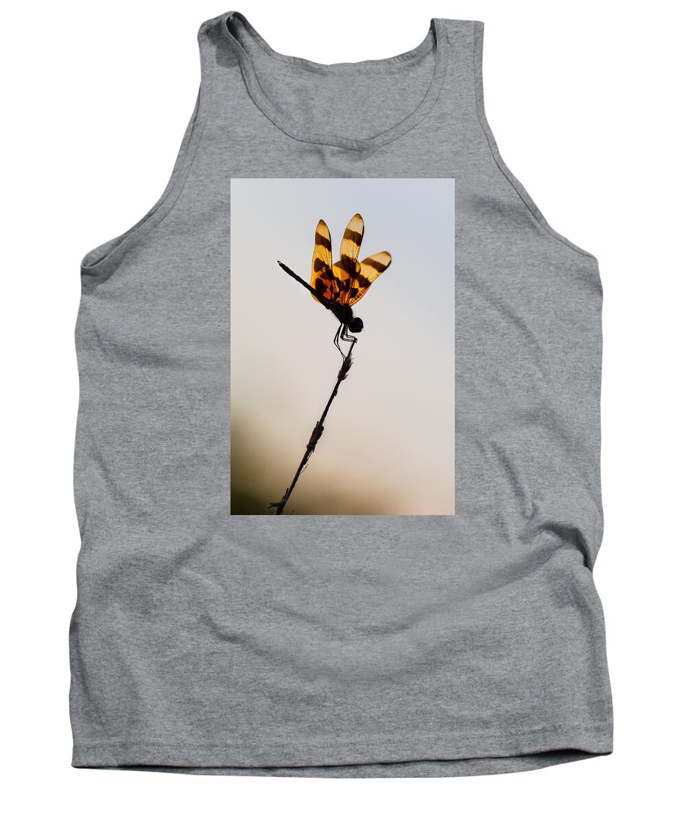 Dragonfly Tank Top featuring the photograph Halloween Pennant Dragonfly Glow by Ed Gleichman