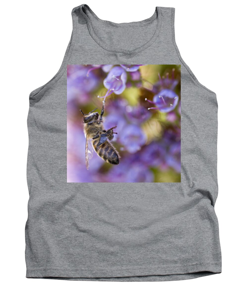 Bee Tank Top featuring the photograph Hang On by Priya Ghose