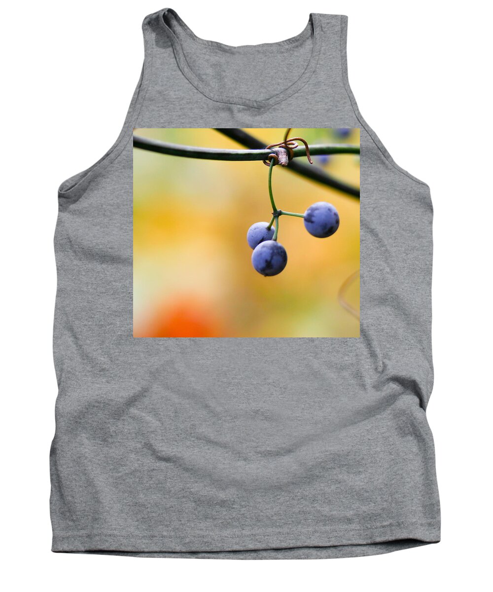 Berries Tank Top featuring the photograph Hanging Berries by Shane Holsclaw