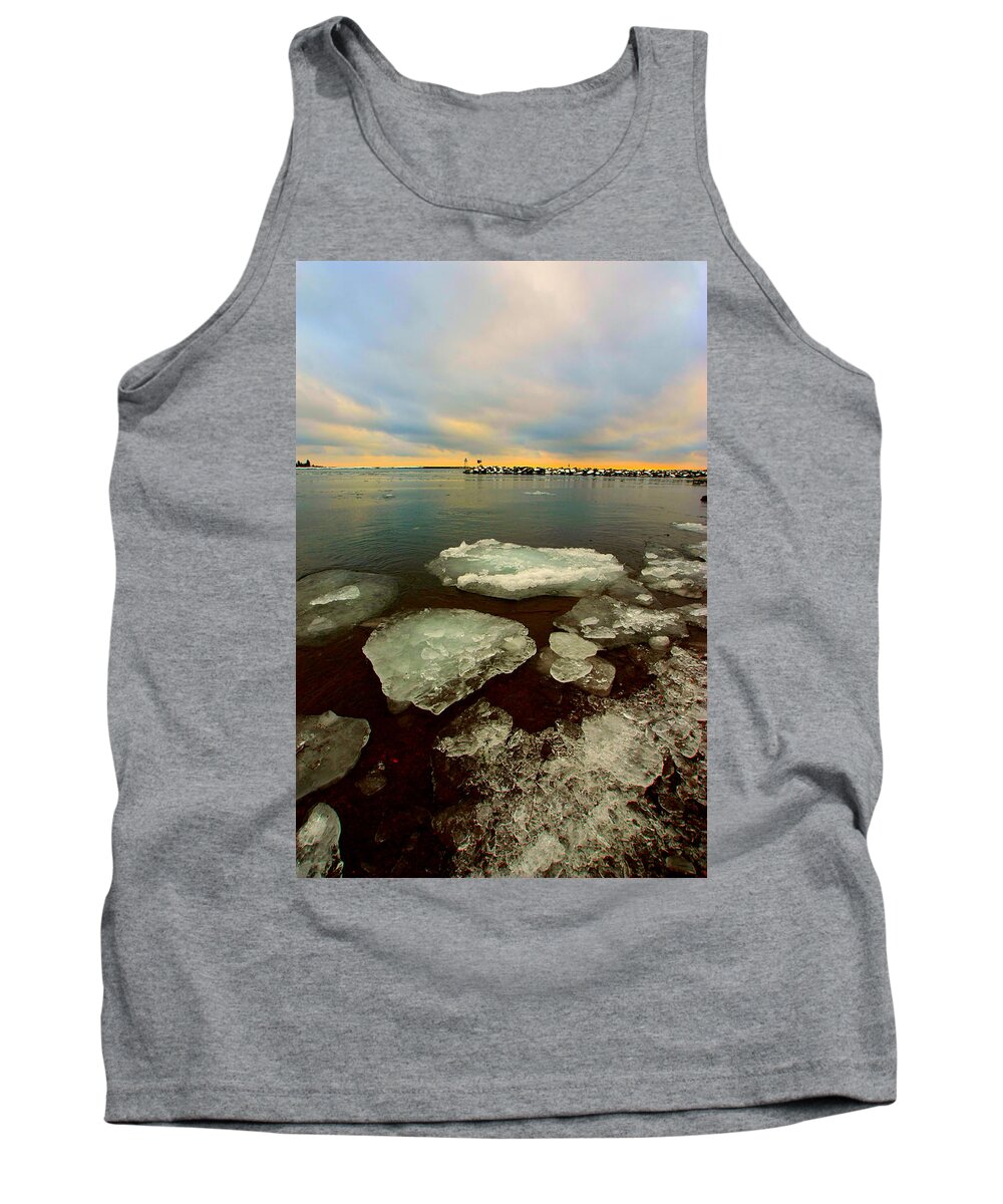 Ice Tank Top featuring the photograph Hanging On by Amanda Stadther
