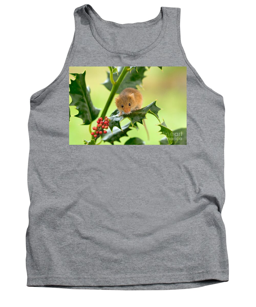 Mouse Tank Top featuring the photograph Harvest Mouse at Christmas by Louise Heusinkveld