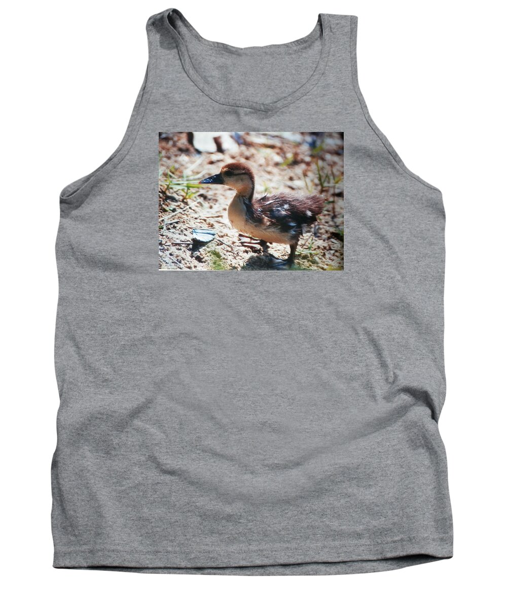 Baby Duckling Searching Out His Mother In Naples Tank Top featuring the photograph Lost Baby Duckling #1 by Belinda Lee