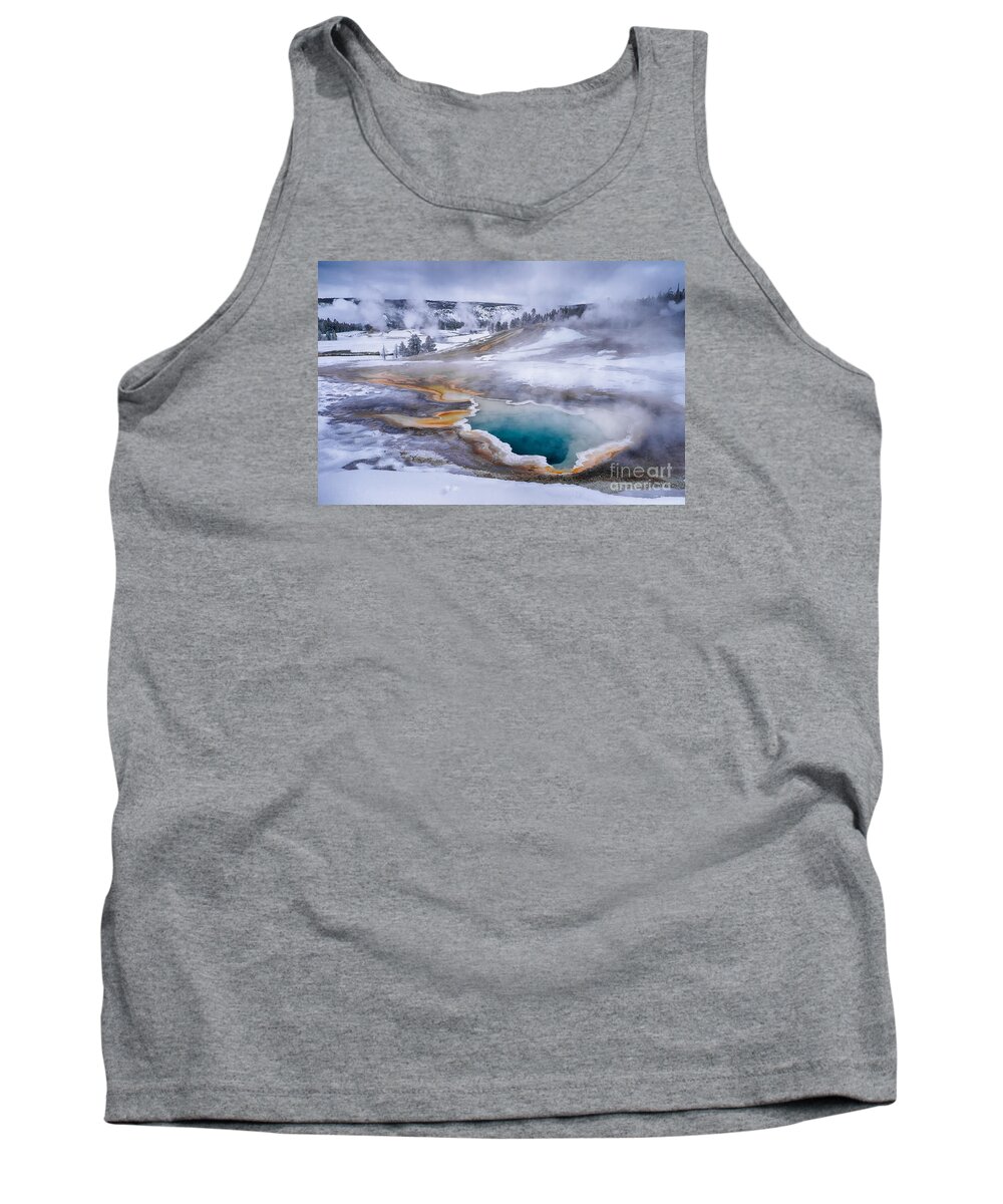 Heart Spring Tank Top featuring the photograph Heart Spring by Priscilla Burgers