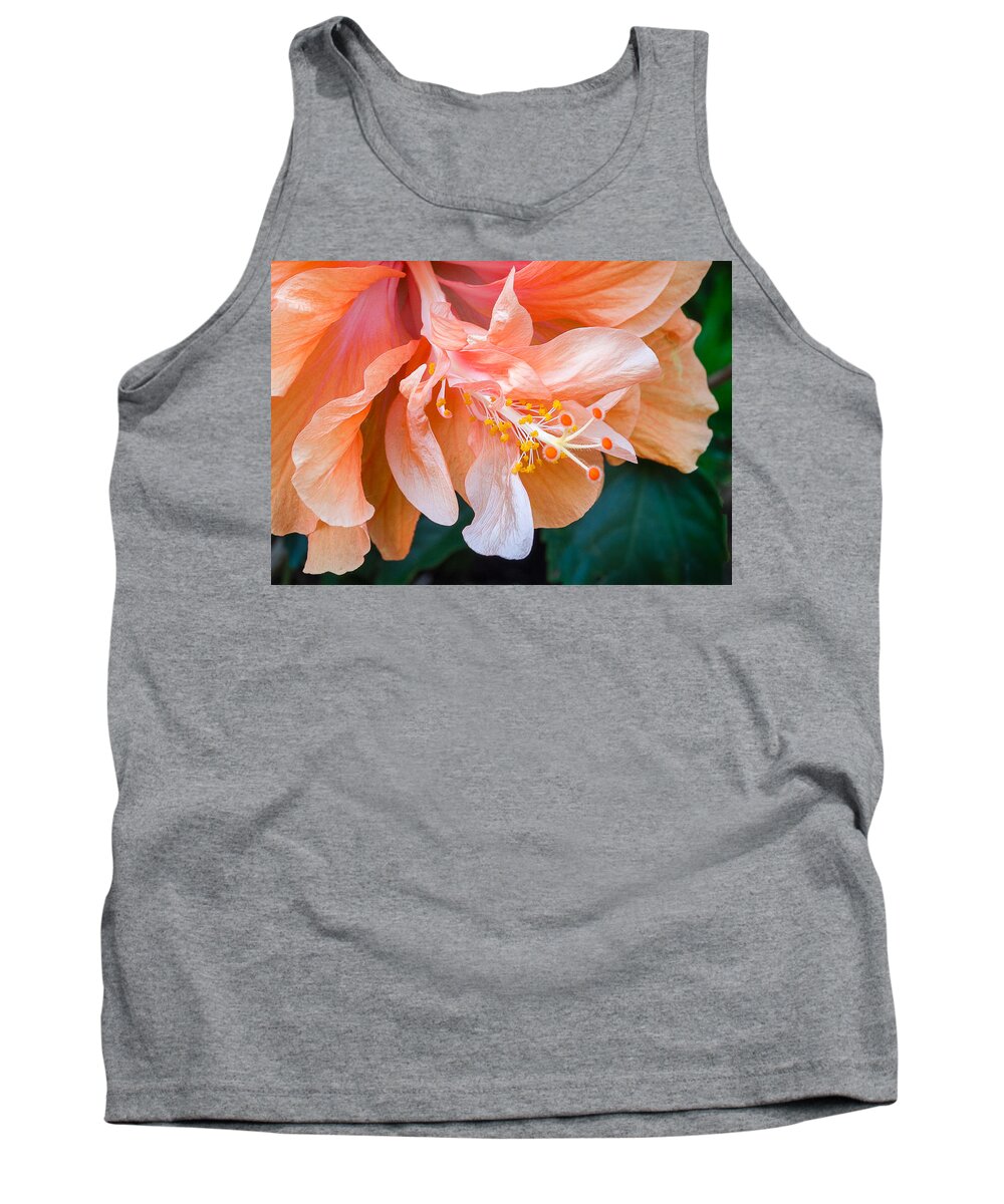 Hibiscus Tank Top featuring the photograph Hibiscus No. 9931 by Georgette Grossman
