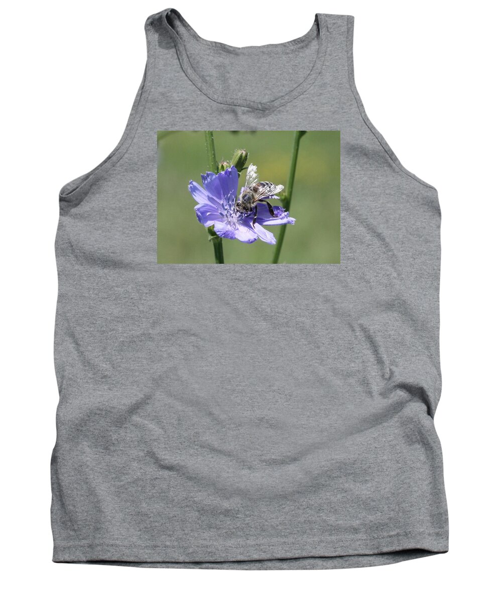 Honeybee Tank Top featuring the photograph honeybee on Chickory by Lucinda VanVleck