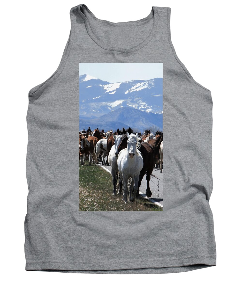 Horses Tank Top featuring the photograph Horses on Road by Kae Cheatham
