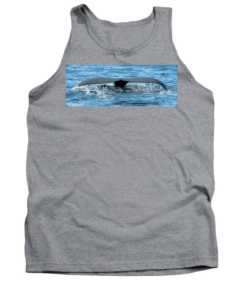 Atlantic Tank Top featuring the photograph Humpback Whale Tail off Bermuda by Jeff at JSJ Photography