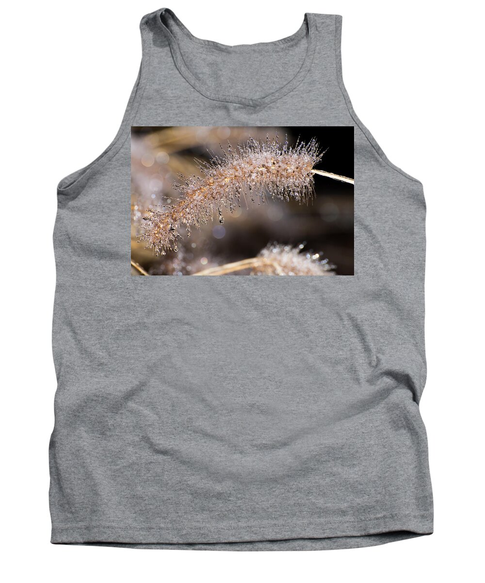 Nature Tank Top featuring the photograph Icicle Popcicle by Stacy Abbott