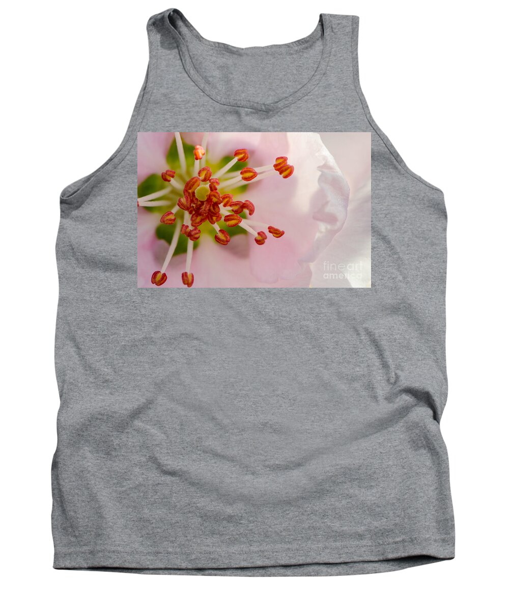 Blooms Tank Top featuring the photograph In A Pink Cloud by Michael Arend