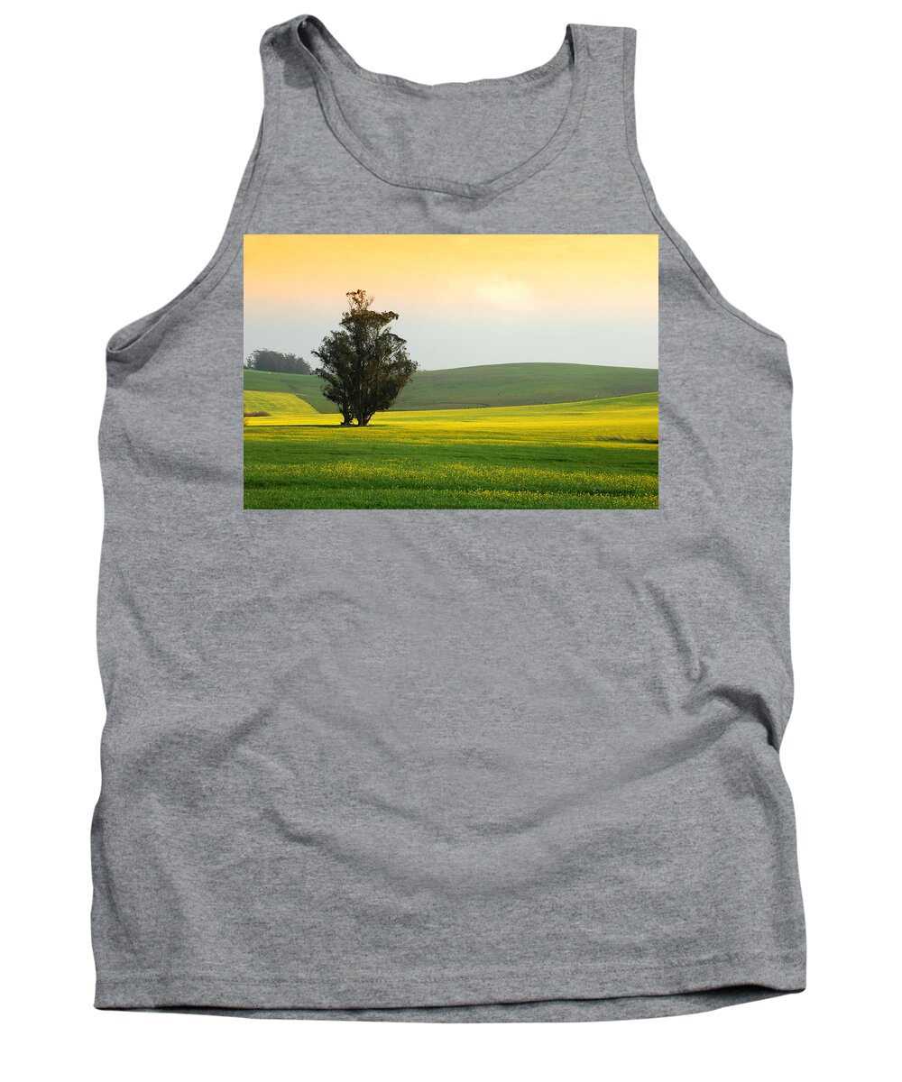 Mustard Flowers Tank Top featuring the photograph In Fields Of Gold by Donna Blackhall